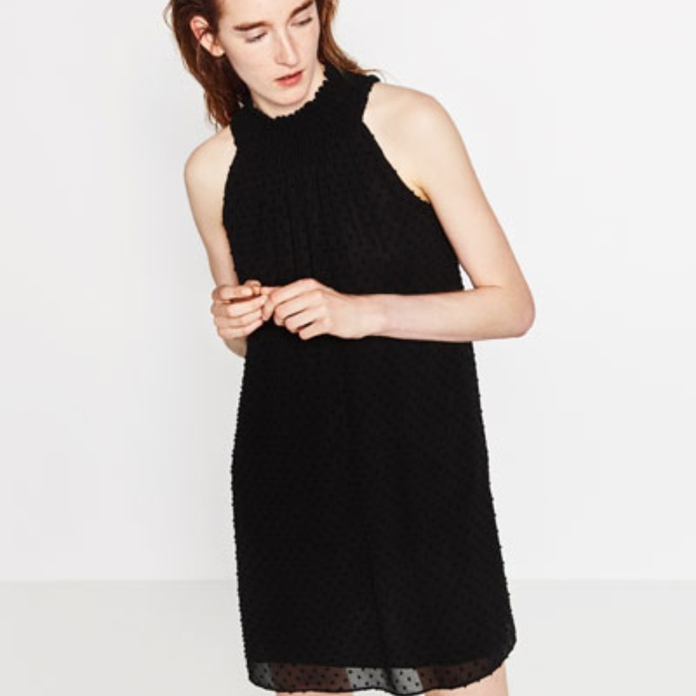 Zara Dotted Mesh Plumetis Dress